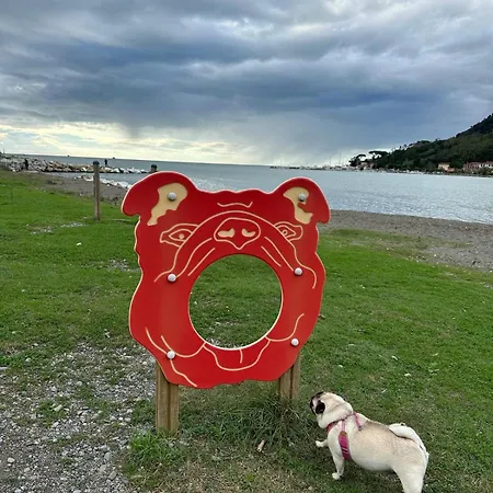 Oasi Degli Ulivi 公寓 *