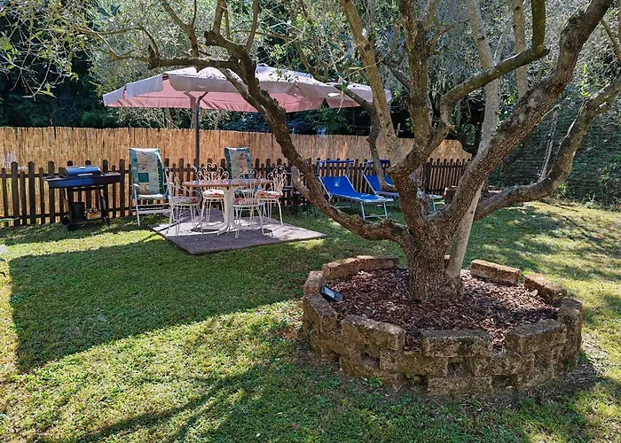 Oasi Degli Ulivi Con Piscina Privata Tra Versilia E Cinque Terre * Luni