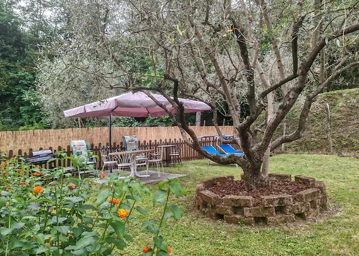 Oasi Degli Ulivi Con Piscina Privata Tra Versilia E Cinque Terre 아파트 Luni