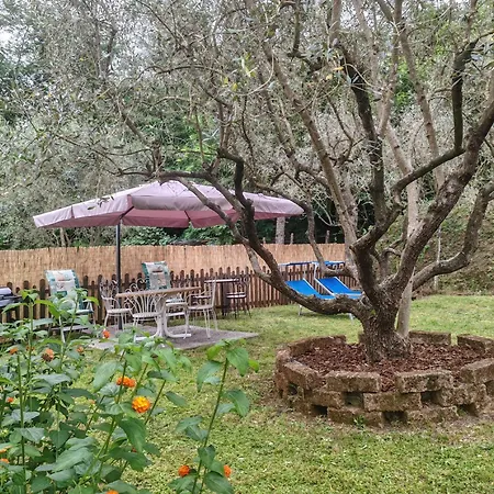 Oasi Degli Ulivi Con Piscina Privata Tra Versilia E Cinque Terre Appartement Luni