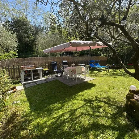 Oasi Degli Ulivi Con Piscina Privata Tra Versilia E Cinque Terre Appartement