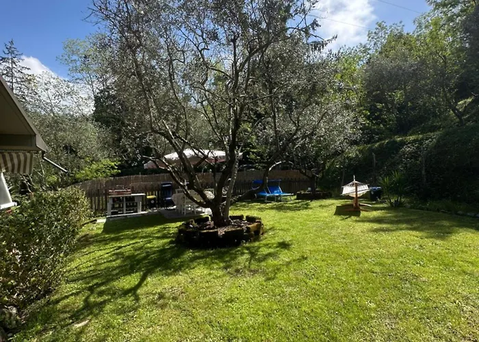 Oasi Degli Ulivi Con Piscina Privata Tra Versilia E Cinque Terre アパート *